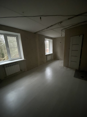 Продам однокомнатную (1-комн.) квартиру, Копанское озеро ул, 1, Пейпия д