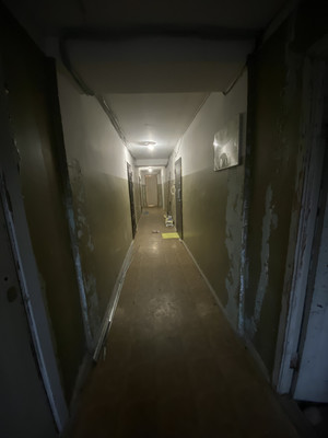 Продам однокомнатную (1-комн.) квартиру, Копанское озеро ул, 1, Пейпия д