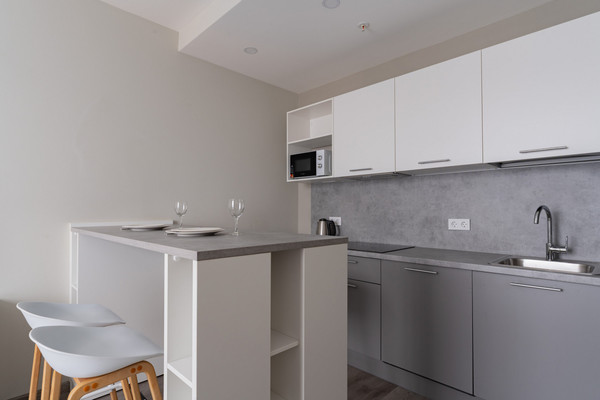 Продам однокомнатную (1-комн.) квартиру, Витебский пр-кт, 99к1, Санкт-Петербург г