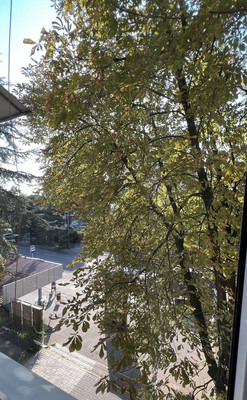 Сдам двухкомнатную (2-комн.) квартиру, Воровского (Центральный р-н) ул, 34, Сочи г