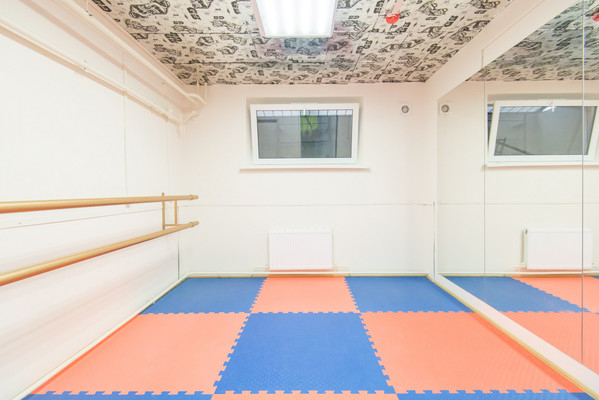 Продам коммерческое помещение 220 м2, Дмитрия Петрова ул, 10, Ростов-на-Дону г