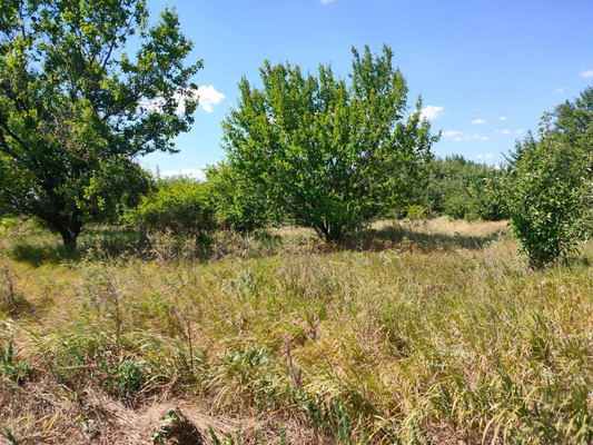 Продам участок 9 соток, Фермерское хоз., Забуденовский х, 0 км от города