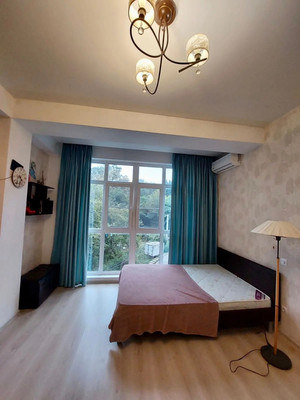 Продам однокомнатную (1-комн.) квартиру, Я.Фабрициуса (Агро снт) ул, 2/26а, Сочи г