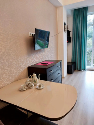 Продам однокомнатную (1-комн.) квартиру, Я.Фабрициуса (Агро снт) ул, 2/26а, Сочи г