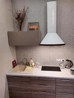 Продам однокомнатную (1-комн.) квартиру, Я.Фабрициуса (Агро снт) ул, 2/26а, Сочи г