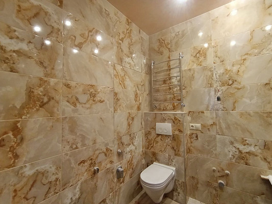 Продам однокомнатную (1-комн.) квартиру, Пушкинская ул, 1к3, Ашукино дп