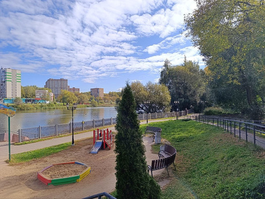 Продам однокомнатную (1-комн.) квартиру, Пушкинская ул, 1к3, Ашукино дп