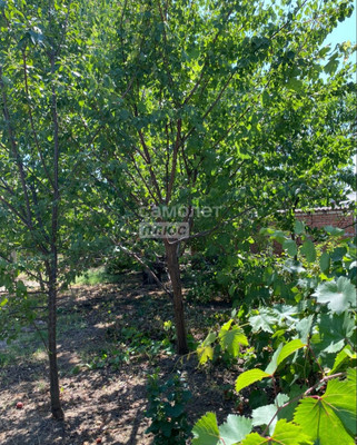 Продам дом, А.Ахматовой ул, 9, Тихорецк г, 0 км от города