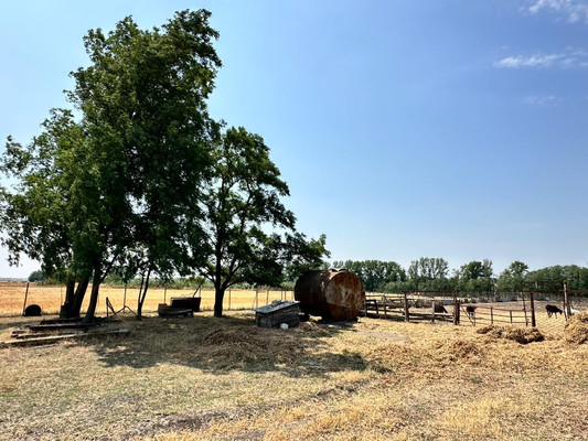 Продам участок 524 соток, ИЖС, Незамаевская ст-ца, 0 км от города