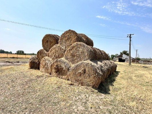 Продам участок 524 соток, ИЖС, Незамаевская ст-ца, 0 км от города