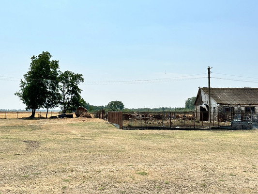 Продам участок 524 соток, ИЖС, Незамаевская ст-ца, 0 км от города