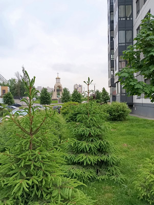 Продам однокомнатную (1-комн.) квартиру, Иоанна Кронштадтского ул, 3, Старая д