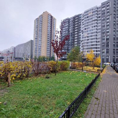 Продам однокомнатную (1-комн.) квартиру (долевое), Авиаторов Балтики пр-кт, 23к3, Мурино п