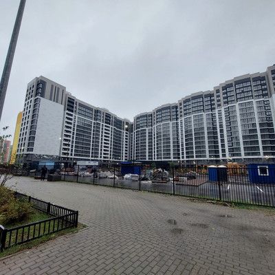 Продам однокомнатную (1-комн.) квартиру (долевое), Авиаторов Балтики пр-кт, 23к3, Мурино п