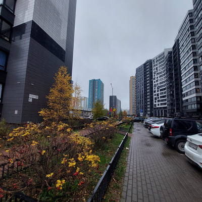 Продам однокомнатную (1-комн.) квартиру (долевое), Авиаторов Балтики пр-кт, 23к3, Мурино п