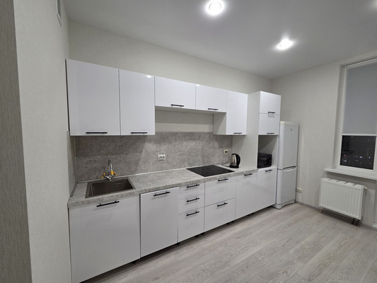 Сдам однокомнатную (1-комн.) квартиру, Европейский пр-кт, 22, Кудрово г