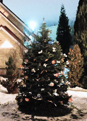 Продам дом, 67, Паткино д, 0 км от города