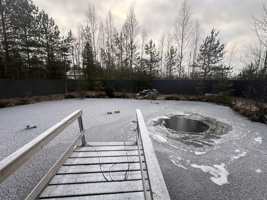 Сдам дом, Бор п, 0 км от города