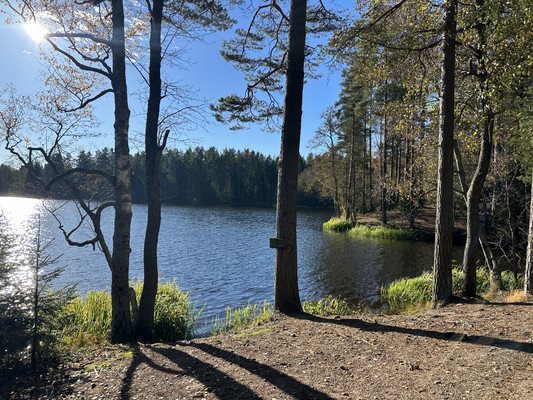 Сдам дом, Бор п, 0 км от города