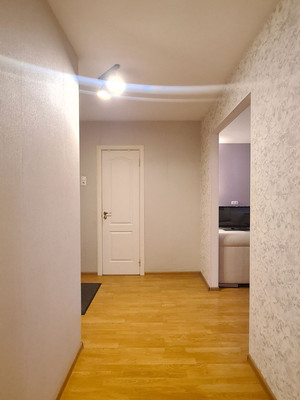 Сдам однокомнатную (1-комн.) квартиру, Коллонтай ул, 28к1, Санкт-Петербург г