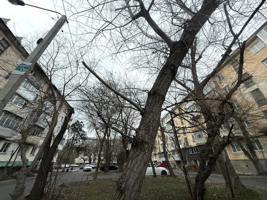 Продам двухкомнатную (2-комн.) квартиру, Киевская ул, 94, Симферополь г