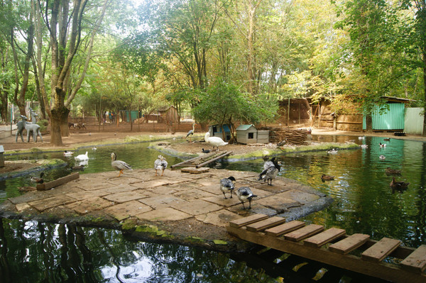 Продам трехкомнатную (3-комн.) квартиру, Шевченко ул, 41, Завет-Ленинский с