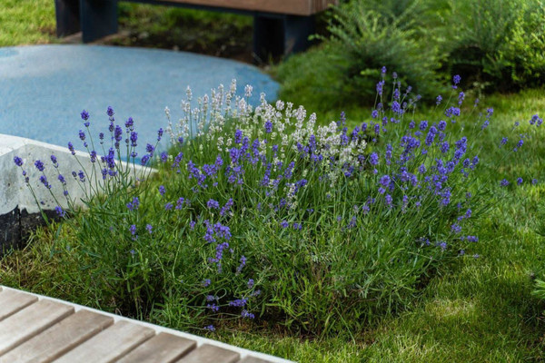 Продам двухкомнатную (2-комн.) квартиру, им. генерала Корнилова ул, 14, Краснодар г