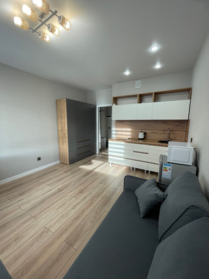 Сдам однокомнатную (1-комн.) квартиру, им. Ивана Беличенко ул, 86к3, Краснодар г