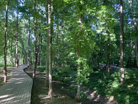 Продам двухкомнатную (2-комн.) квартиру, Соловьиный проезд, 2, Москва г