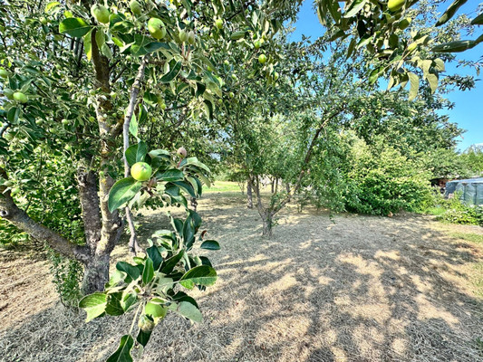 Продам дом, Шевченко ул, 122, Фастовецкая ст-ца, 0 км от города