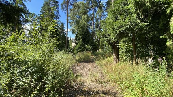 Продам участок 412,1 соток, ИЖС, Устье С и Ко снт, Дубна г, 20 км от города