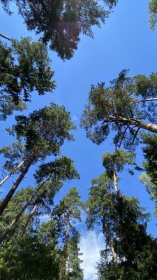 Продам участок 412,1 соток, ИЖС, Устье С и Ко снт, Дубна г, 20 км от города