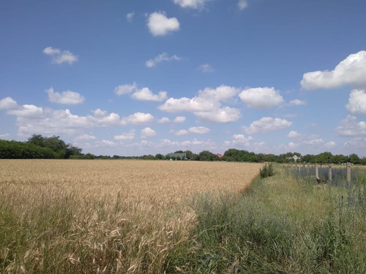 Продам участок 25 соток, ИЖС, Школьная ул, 126, Алексеевская ст-ца, 0 км от города