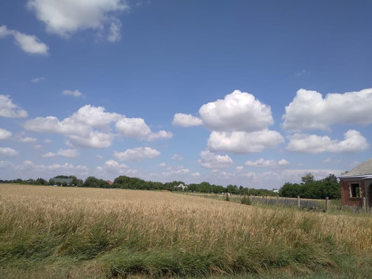 Продам участок 25 соток, ИЖС, Школьная ул, 126, Алексеевская ст-ца, 0 км от города