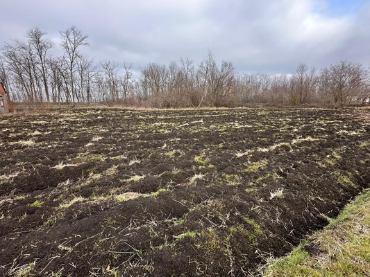 Продам участок 15 соток, ИЖС, Егорова ул, 31, Садовый п, 0 км от города