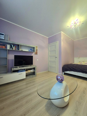 Сдам однокомнатную (1-комн.) квартиру, Парашютная ул, 38к3, Санкт-Петербург г