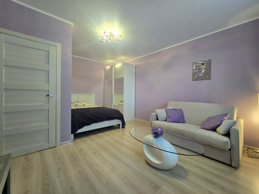 Сдам однокомнатную (1-комн.) квартиру, Парашютная ул, 38к3, Санкт-Петербург г