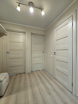 Сдам однокомнатную (1-комн.) квартиру, Парашютная ул, 38к3, Санкт-Петербург г