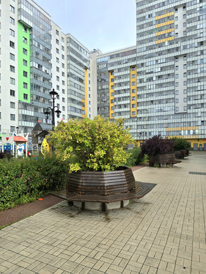 Сдам однокомнатную (1-комн.) квартиру, Парашютная ул, 38к3, Санкт-Петербург г