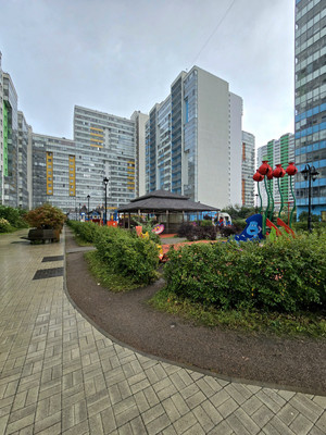 Сдам однокомнатную (1-комн.) квартиру, Парашютная ул, 38к3, Санкт-Петербург г