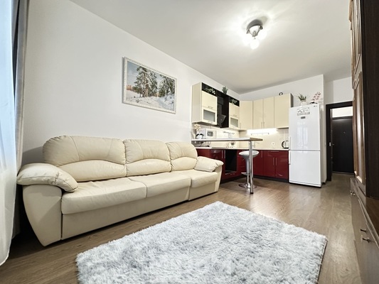 Сдам однокомнатную (1-комн.) квартиру, Арцеуловская аллея, 23к1 стр 1, Санкт-Петербург г