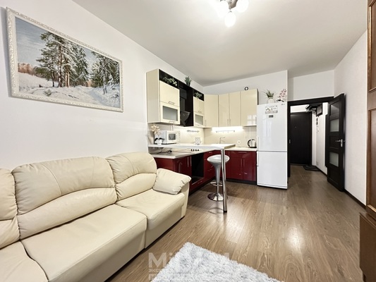 Сдам однокомнатную (1-комн.) квартиру, Арцеуловская аллея, 23к1 стр 1, Санкт-Петербург г