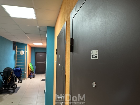 Сдам однокомнатную (1-комн.) квартиру, Арцеуловская аллея, 23к1 стр 1, Санкт-Петербург г