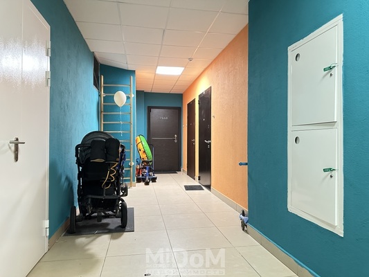 Сдам однокомнатную (1-комн.) квартиру, Арцеуловская аллея, 23к1 стр 1, Санкт-Петербург г