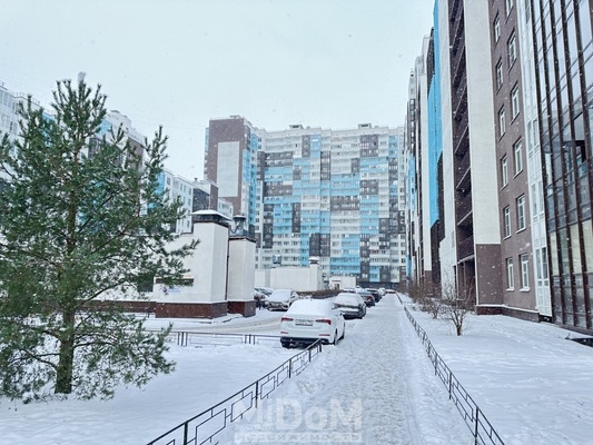 Сдам однокомнатную (1-комн.) квартиру, Арцеуловская аллея, 23к1 стр 1, Санкт-Петербург г