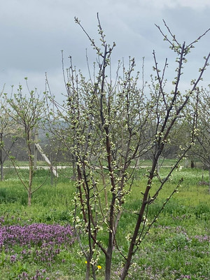 Продам дом, Северная ул, Раевская ст-ца, 0 км от города