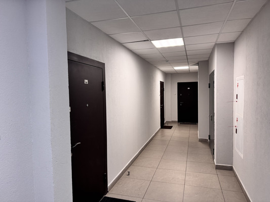 Продам однокомнатную (1-комн.) квартиру, Плесецкая ул, 16, Санкт-Петербург г