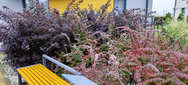 Продам двухкомнатную (2-комн.) квартиру (долевое), Васильковая ул, 12, Малое Васильково п