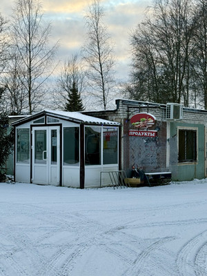 Продам дом, 4-я Садовая (Дружба тер. СНТ) ул, 33, Грибное массив, 0 км от города
