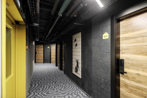 Сдам однокомнатную (1-комн.) квартиру, Орджоникидзе ул, 44Ак1, Санкт-Петербург г